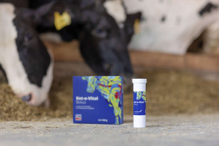 Agrochemica Bolus Ket-o-Vital